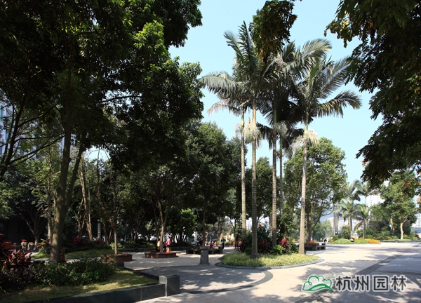 亚洲精品白浆高清久久久久久