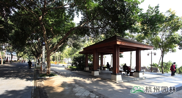 亚洲精品白浆高清久久久久久