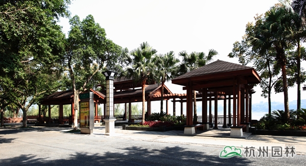 亚洲精品白浆高清久久久久久