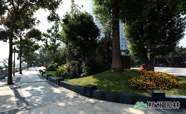 亚洲精品白浆高清久久久久久