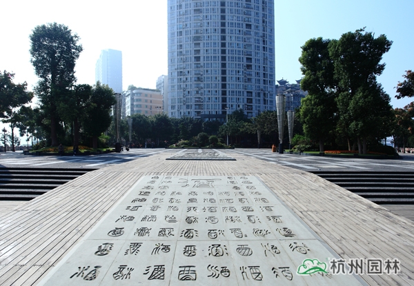 亚洲精品白浆高清久久久久久