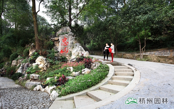 亚洲精品白浆高清久久久久久