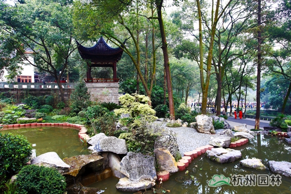 亚洲精品白浆高清久久久久久