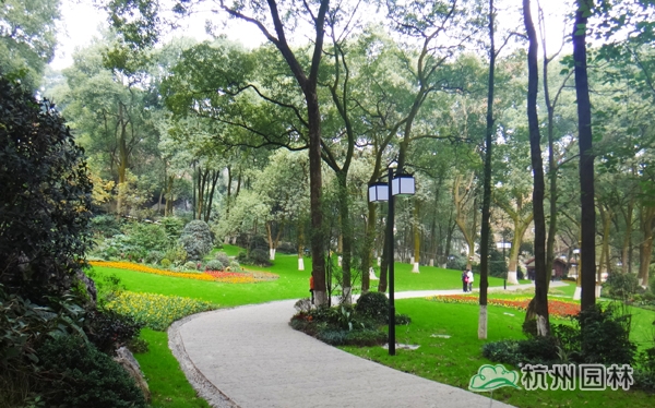 亚洲精品白浆高清久久久久久