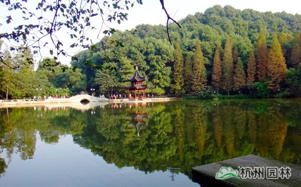 亚洲精品白浆高清久久久久久