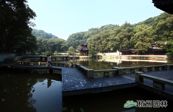 亚洲精品白浆高清久久久久久