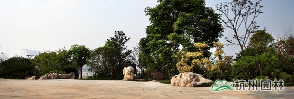 亚洲精品白浆高清久久久久久