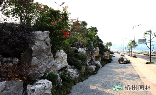 亚洲精品白浆高清久久久久久