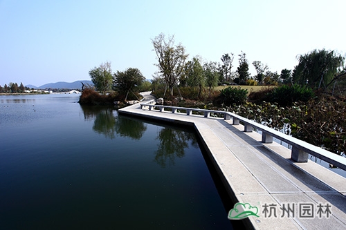 亚洲精品白浆高清久久久久久