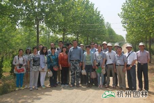 亚洲精品白浆高清久久久久久