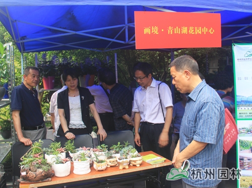 亚洲精品白浆高清久久久久久