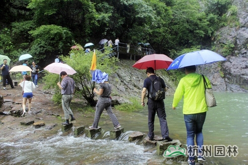 亚洲精品白浆高清久久久久久