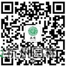 亚洲精品白浆高清久久久久久