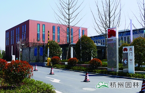 亚洲精品白浆高清久久久久久