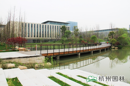 亚洲精品白浆高清久久久久久