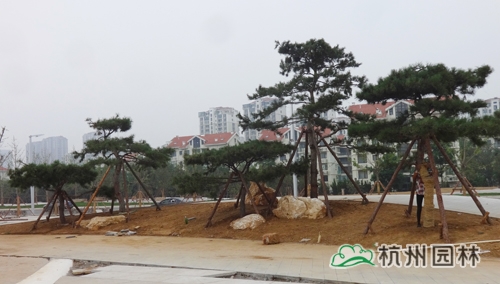 亚洲精品白浆高清久久久久久