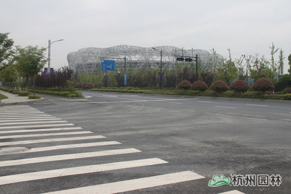 亚洲精品白浆高清久久久久久