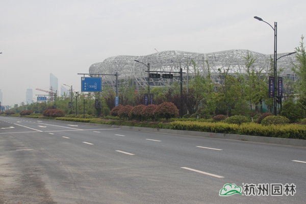 亚洲精品白浆高清久久久久久