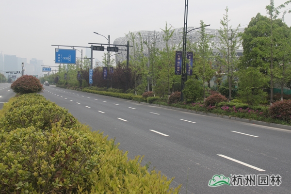 亚洲精品白浆高清久久久久久