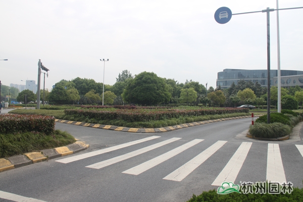 亚洲精品白浆高清久久久久久