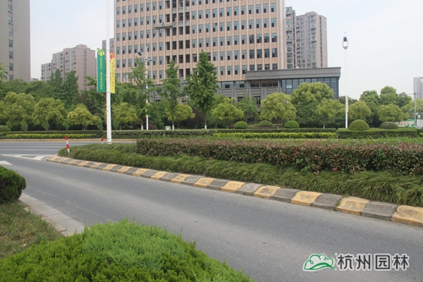 亚洲精品白浆高清久久久久久