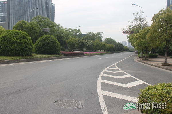 亚洲精品白浆高清久久久久久