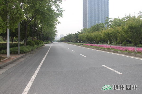 亚洲精品白浆高清久久久久久