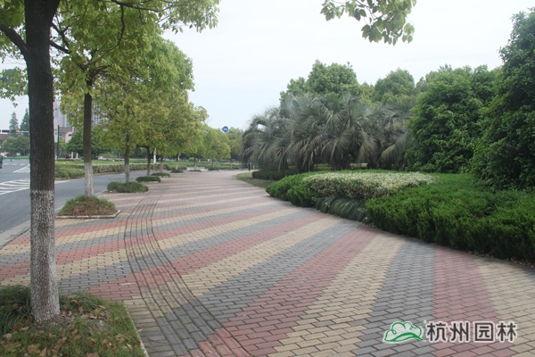 亚洲精品白浆高清久久久久久