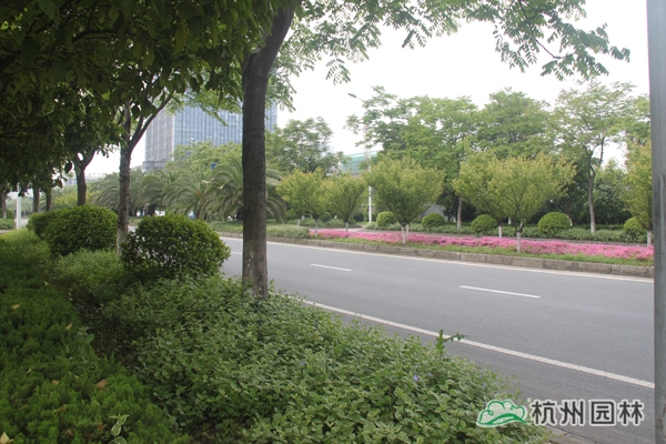 亚洲精品白浆高清久久久久久