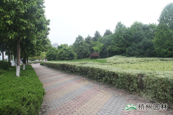 亚洲精品白浆高清久久久久久