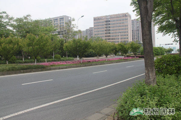 亚洲精品白浆高清久久久久久