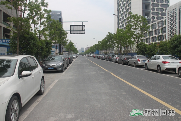 亚洲精品白浆高清久久久久久