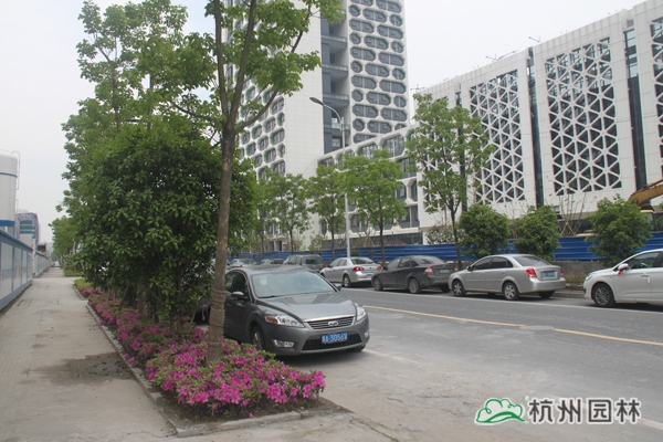 亚洲精品白浆高清久久久久久