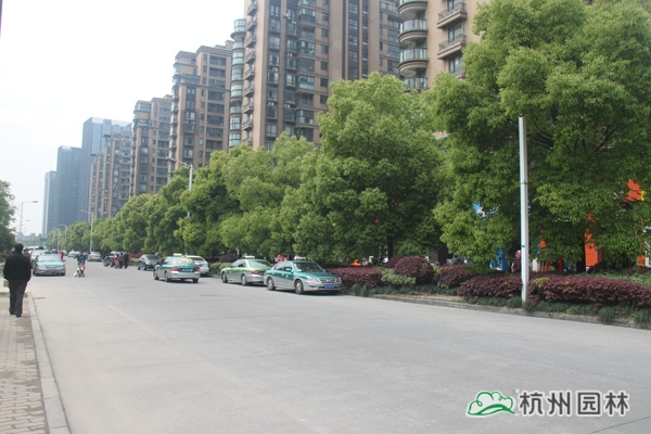 亚洲精品白浆高清久久久久久