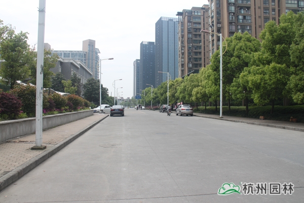 亚洲精品白浆高清久久久久久