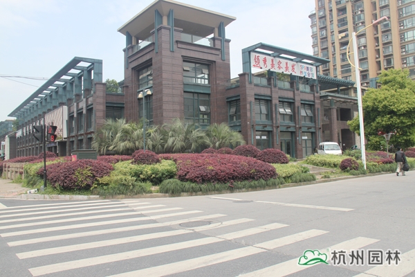 亚洲精品白浆高清久久久久久