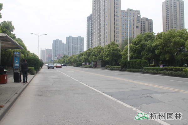 亚洲精品白浆高清久久久久久