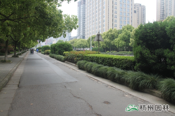 亚洲精品白浆高清久久久久久