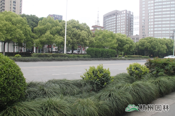 亚洲精品白浆高清久久久久久