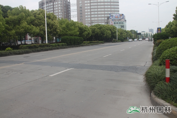 亚洲精品白浆高清久久久久久