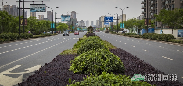 亚洲精品白浆高清久久久久久