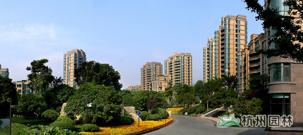 亚洲精品白浆高清久久久久久