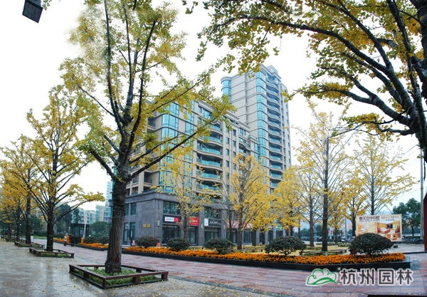 亚洲精品白浆高清久久久久久