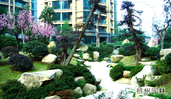 亚洲精品白浆高清久久久久久