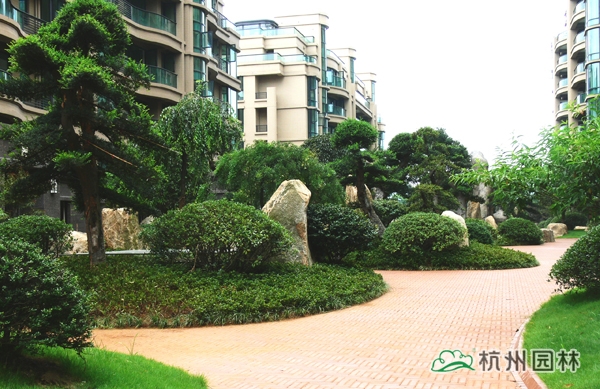 亚洲精品白浆高清久久久久久