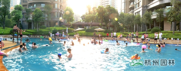 亚洲精品白浆高清久久久久久