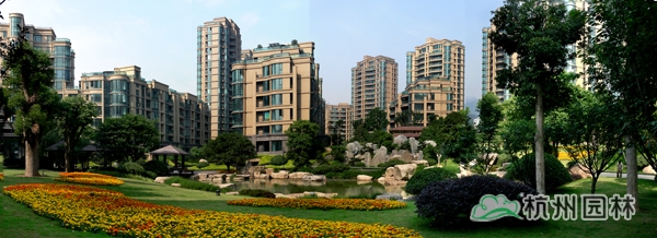 亚洲精品白浆高清久久久久久