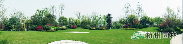 亚洲精品白浆高清久久久久久