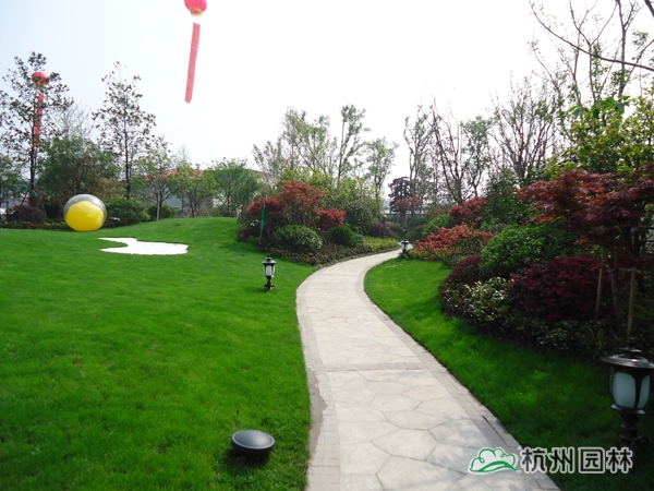 亚洲精品白浆高清久久久久久