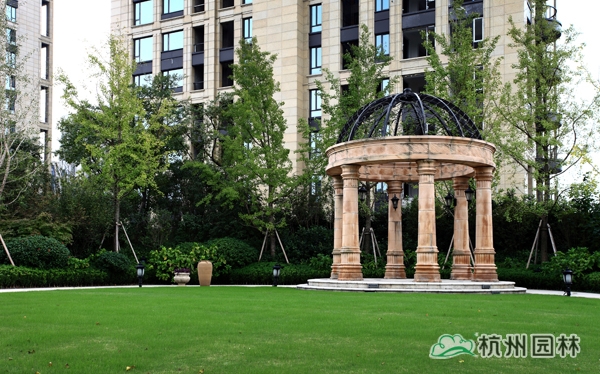 亚洲精品白浆高清久久久久久